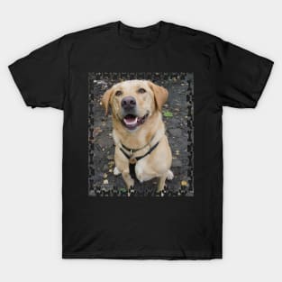 Billy the Dog T-Shirt